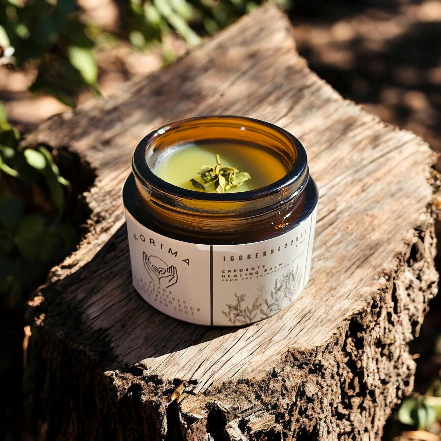 Creosote [Gobernadora] Balm | 1 OZ.